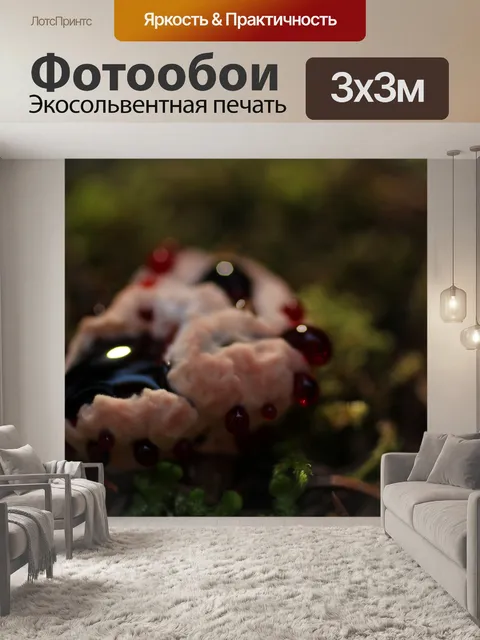 Фотообои Странно Коричневый Красный Muchroom