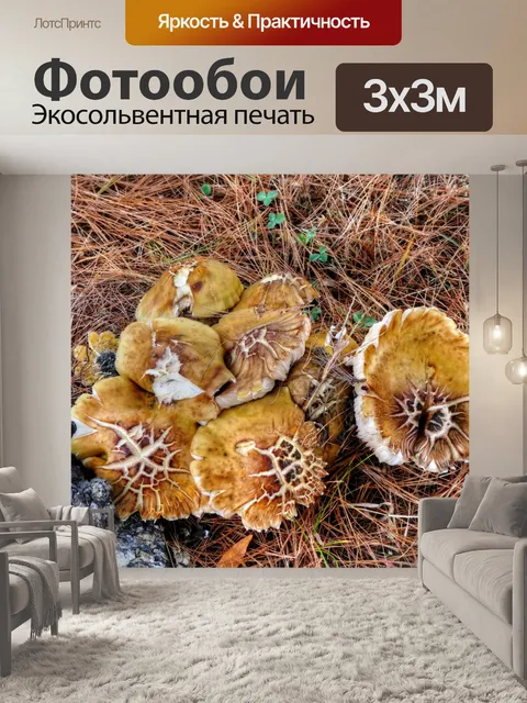 Фотообои Золотые дикие грибы