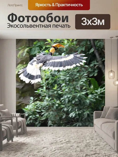 Фотообои Полет птиц-носорогов в парке птиц