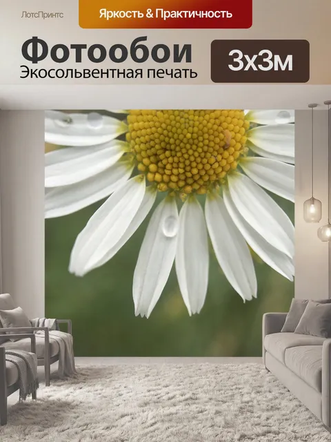Фотообои Цветок