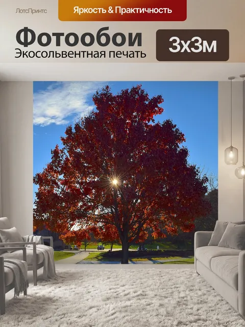 Фотообои Дерево