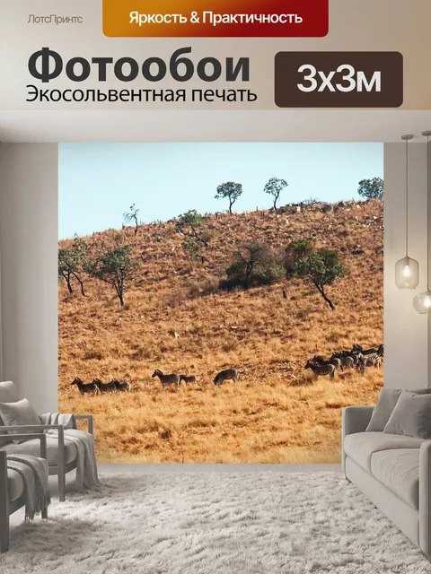 Фотообои группа зебры Берчелла