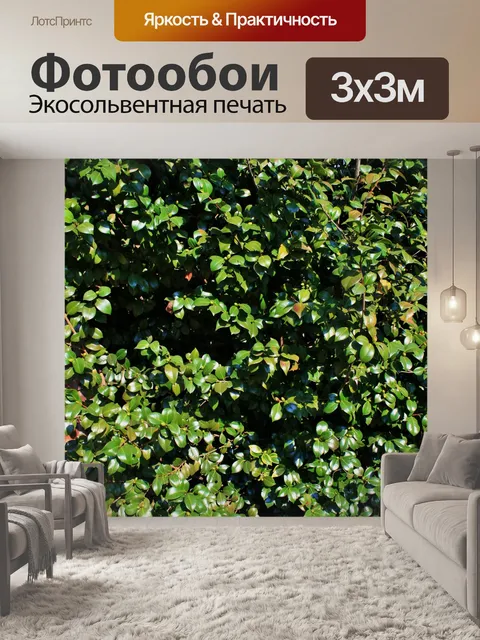 Фотообои Листва японская дерева