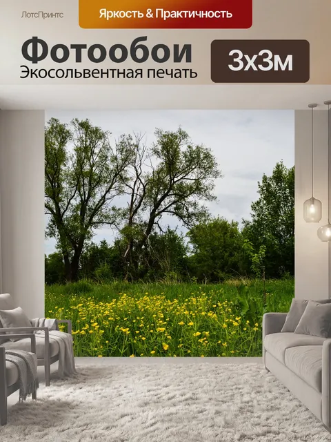 Фотообои Поле