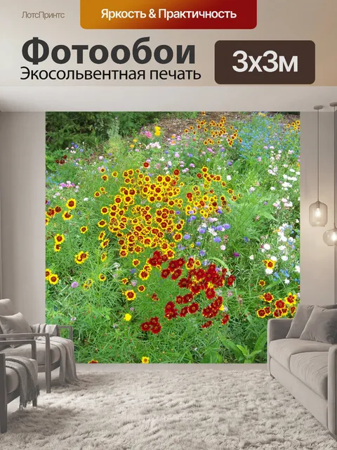 Фотообои Полевые цветы