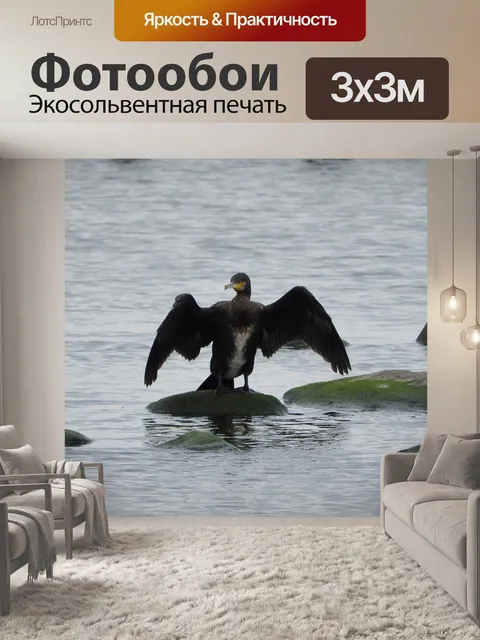 Фотообои Баклан