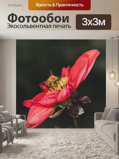 Фотообои Цветок