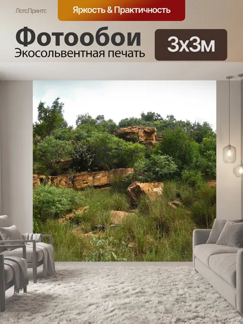 Фотообои скалы на холме с кустами