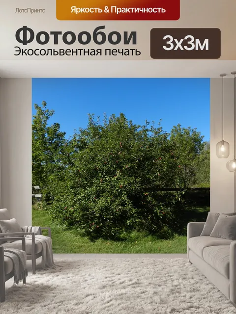 Фотообои Яблоня № 3
