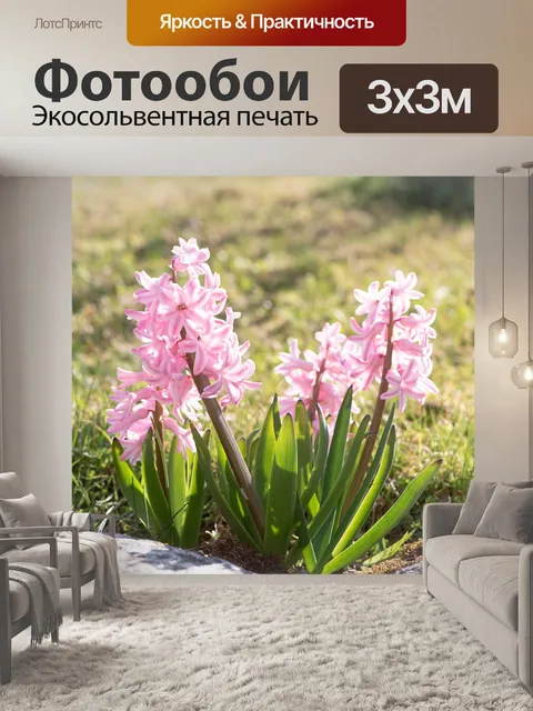 Фотообои Гиацинты