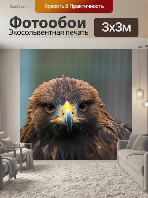 Фотообои Золотой орел