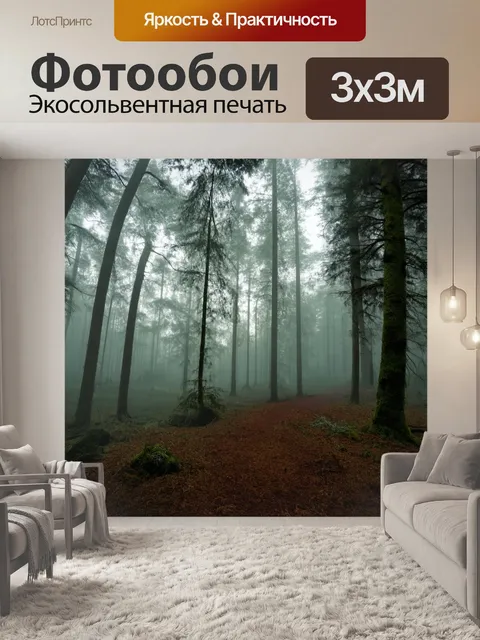 Фотообои лес с густым туманом, покрывающим землю