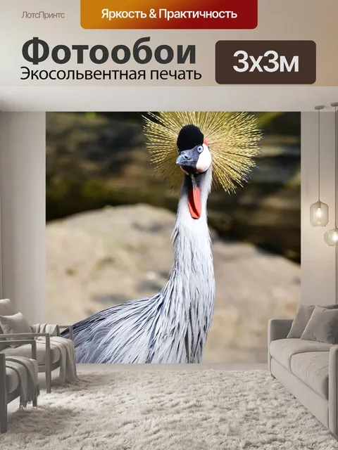 Фотообои Венценосный журавль