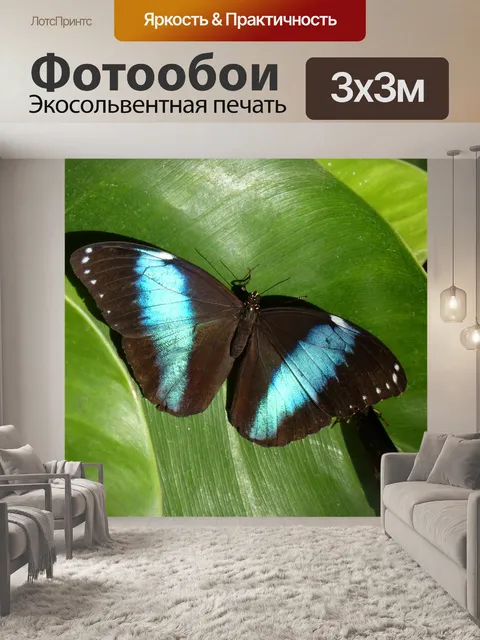 Фотообои Бабочка