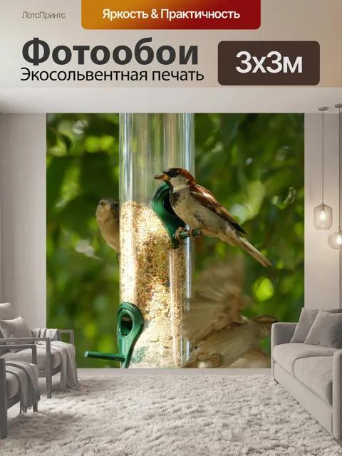 Фотообои Птица