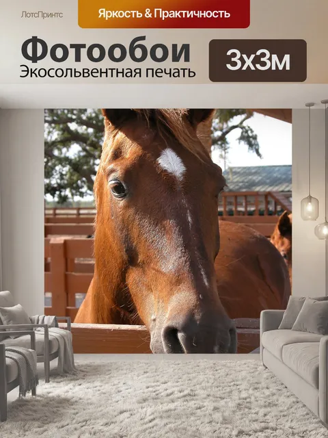 Фотообои Лошадь на ранчо