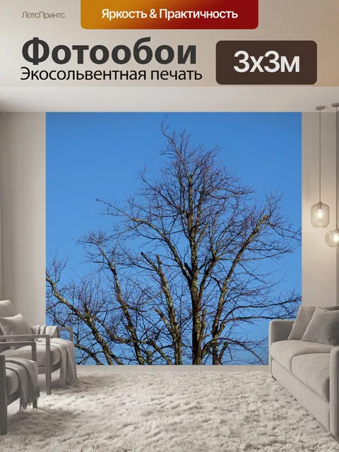 Фотообои Дерево Топы против голубого неба