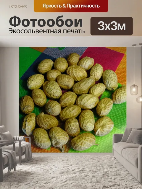 Фотообои Обезьяна Орехи с рынка