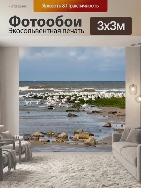 Фотообои Чайка колонии