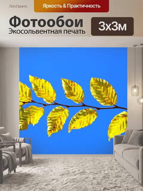 Фотообои Листья