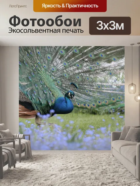 Фотообои Павлин