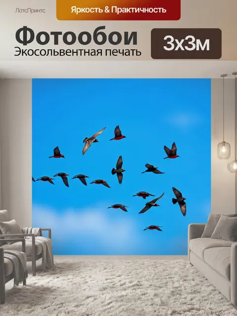 Фотообои летящие птицы на фоне голубого неба