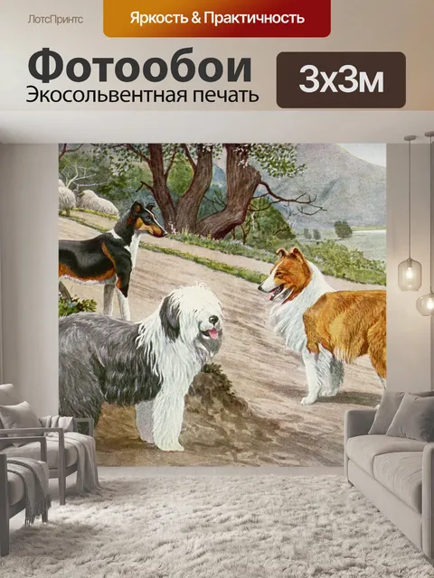 Фотообои Собака старинное искусство старый