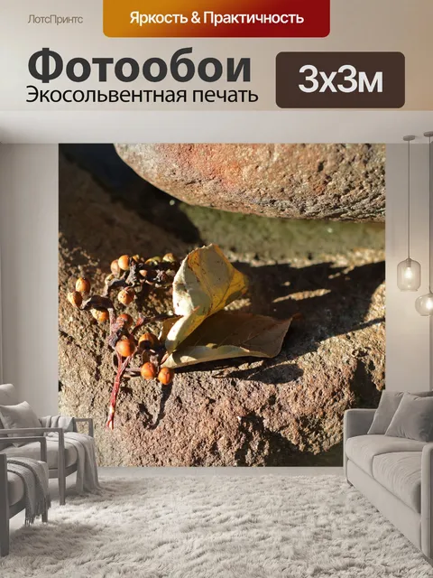 Фотообои сморщенные плоды и листья