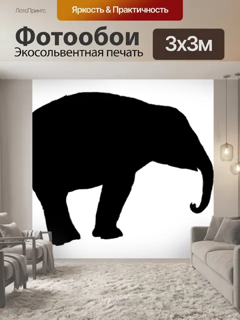 Фотообои Силуэт