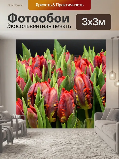 Фотообои Тюльпаны