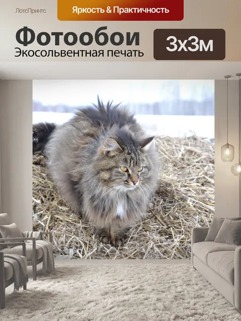 Фотообои Животные