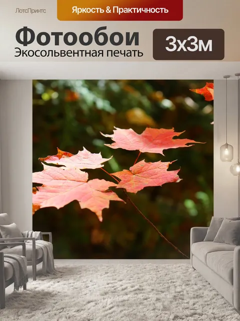 Фотообои Клен