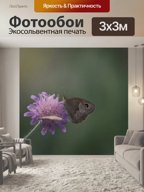 Фотообои Большой бычий глаз