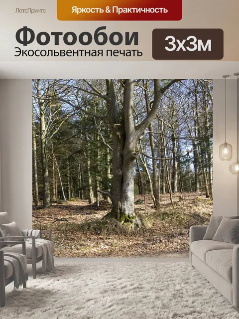Фотообои Деревья