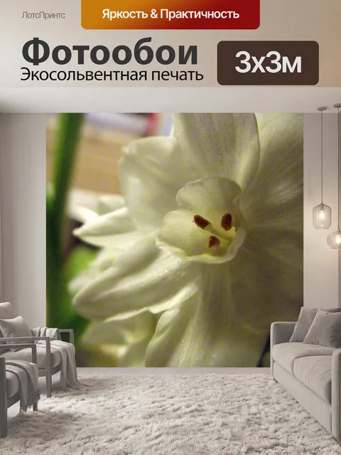 Фотообои Белый цветок 3