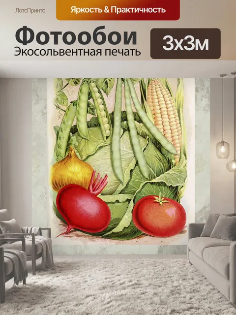 Фотообои Винтажные овощи плакат