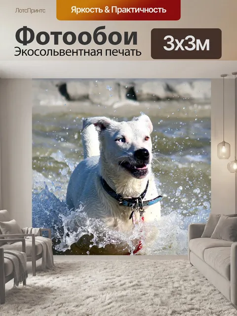Фотообои Собака