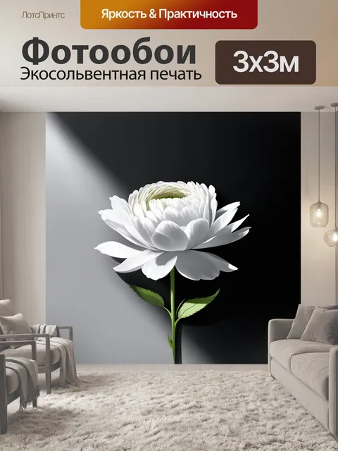 Фотообои в стиле минимализма, белый пион помещен на однотонный фон, который подчеркивает его простоту и элегантность