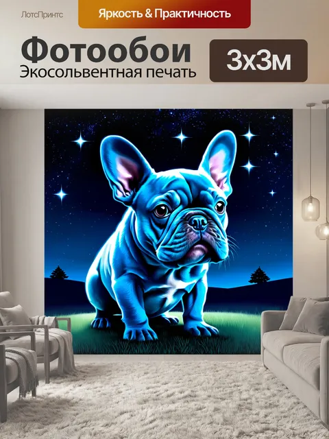 Фотообои изображение синего французского бульдога, рассматривающего ночное небо, полное звёзд