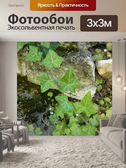 Фотообои Усик плюща
