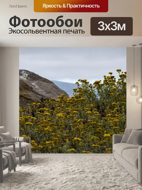 Фотообои Желтые полевые цветы
