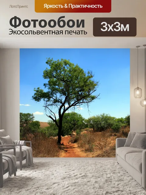 Фотообои высокое дерево на тропе