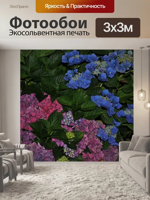 Фотообои Цветок
