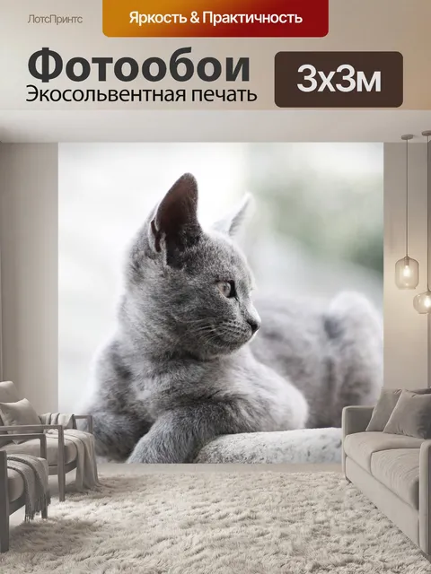 Фотообои Кот