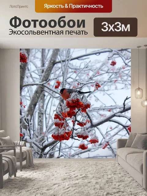 Фотообои Снегирь