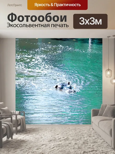 Фотообои Бегемот
