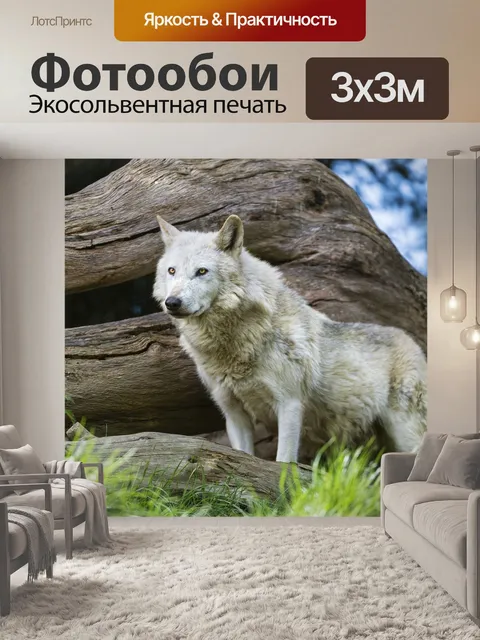 Фотообои Природа