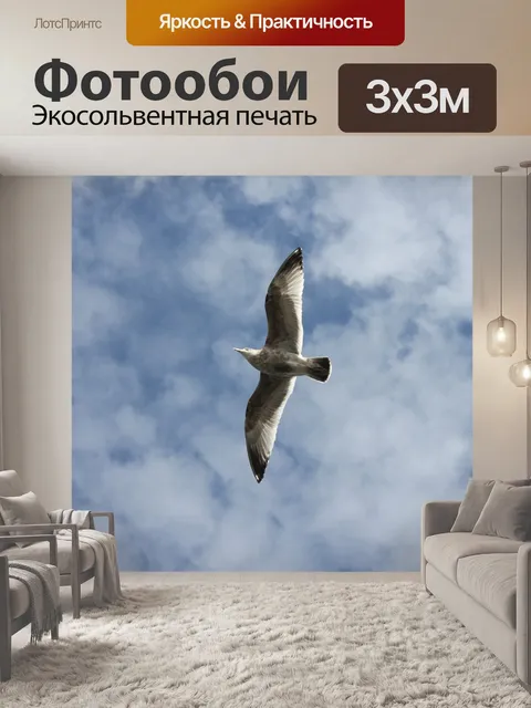 Фотообои Птица