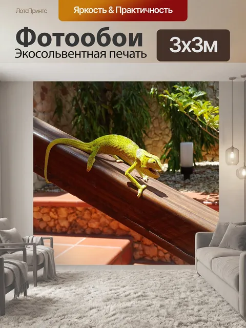 Фотообои Ящерица