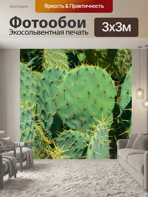 Фотообои Кактус опунции